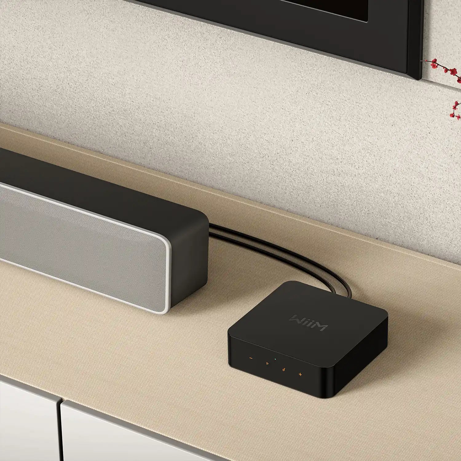 Lenco WIIM-MR-TT-01 Multiroom Wi-Fi Turntable Pro Package - Walnut