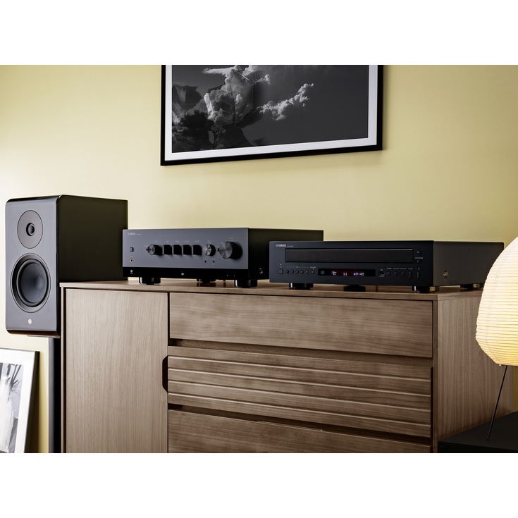 Yamaha CD-C603 5-Disc CD Changer