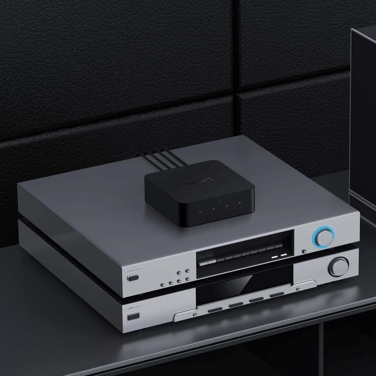 WiiM PRO Wireless Audio Streamer AirPlay 2 & Chromecast