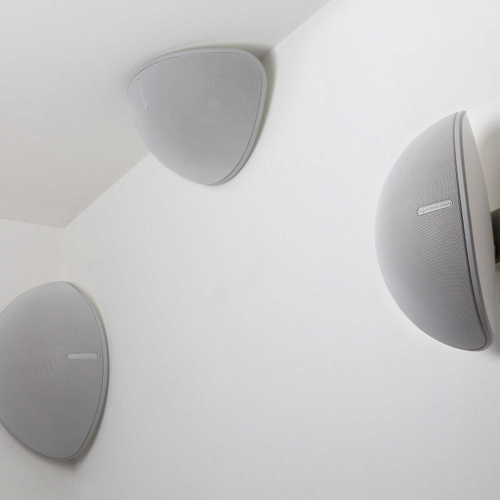 Monitor Audio Vecta V240 Indoor/Outdoor Speaker