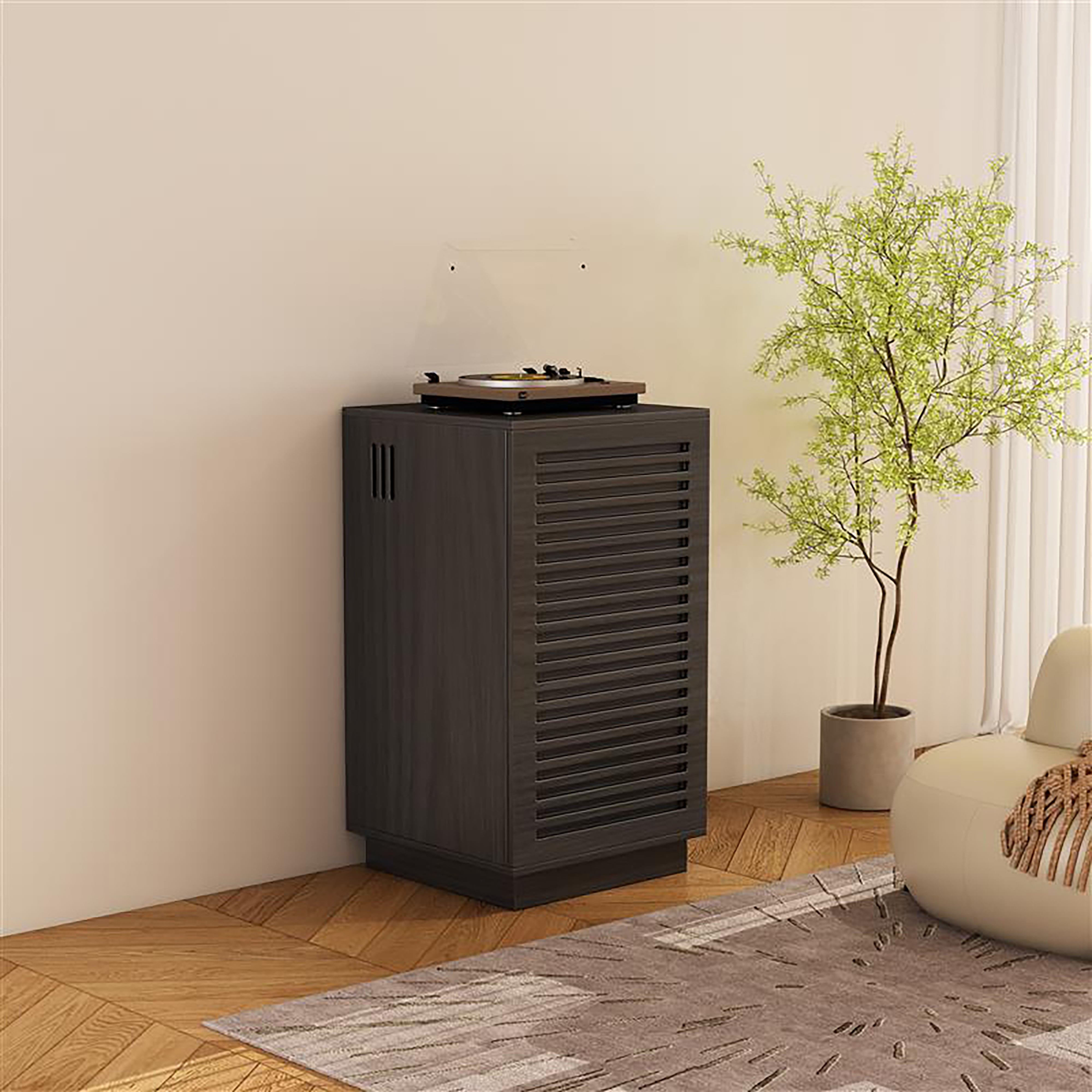 BURBANK HiFi Unit