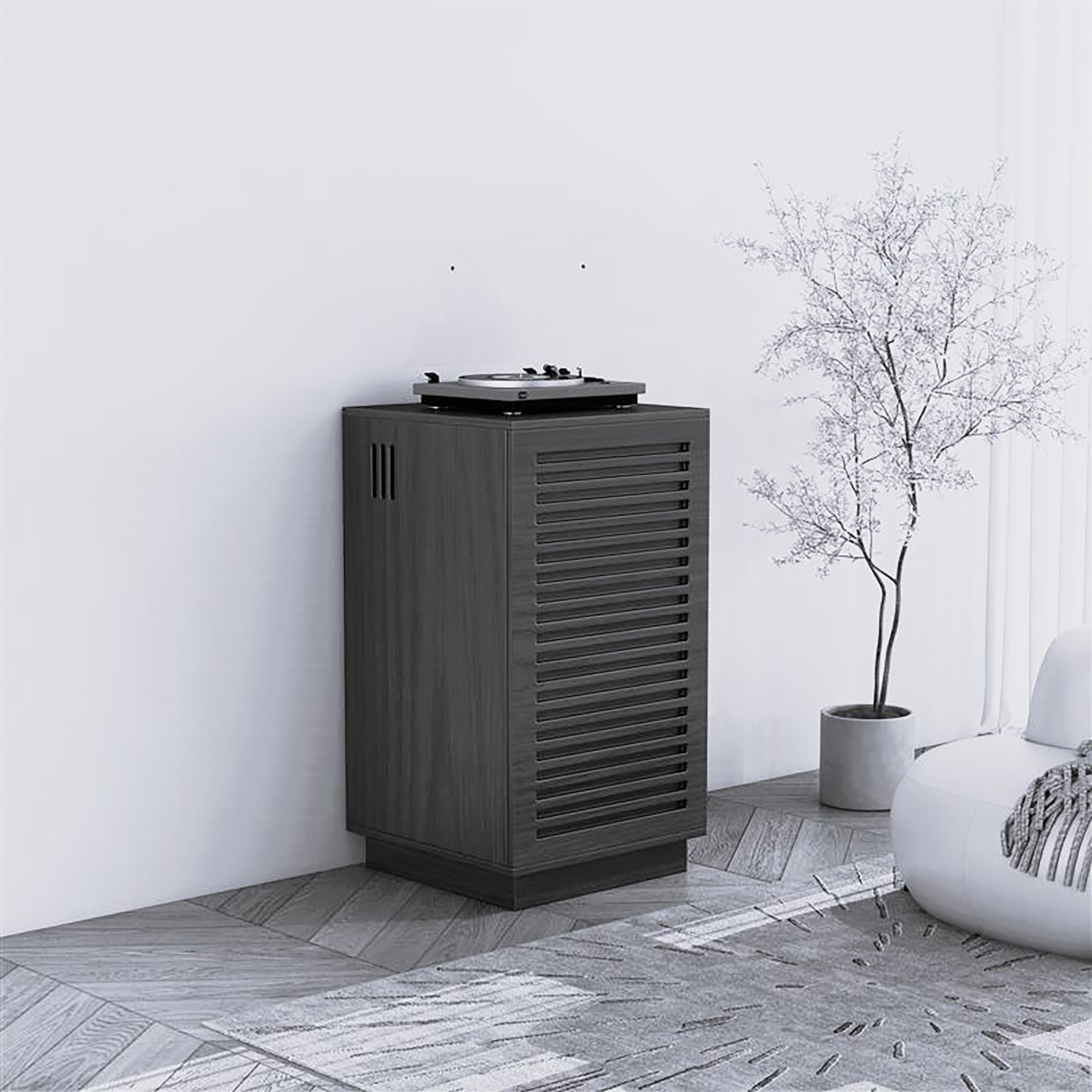 BURBANK HiFi Unit