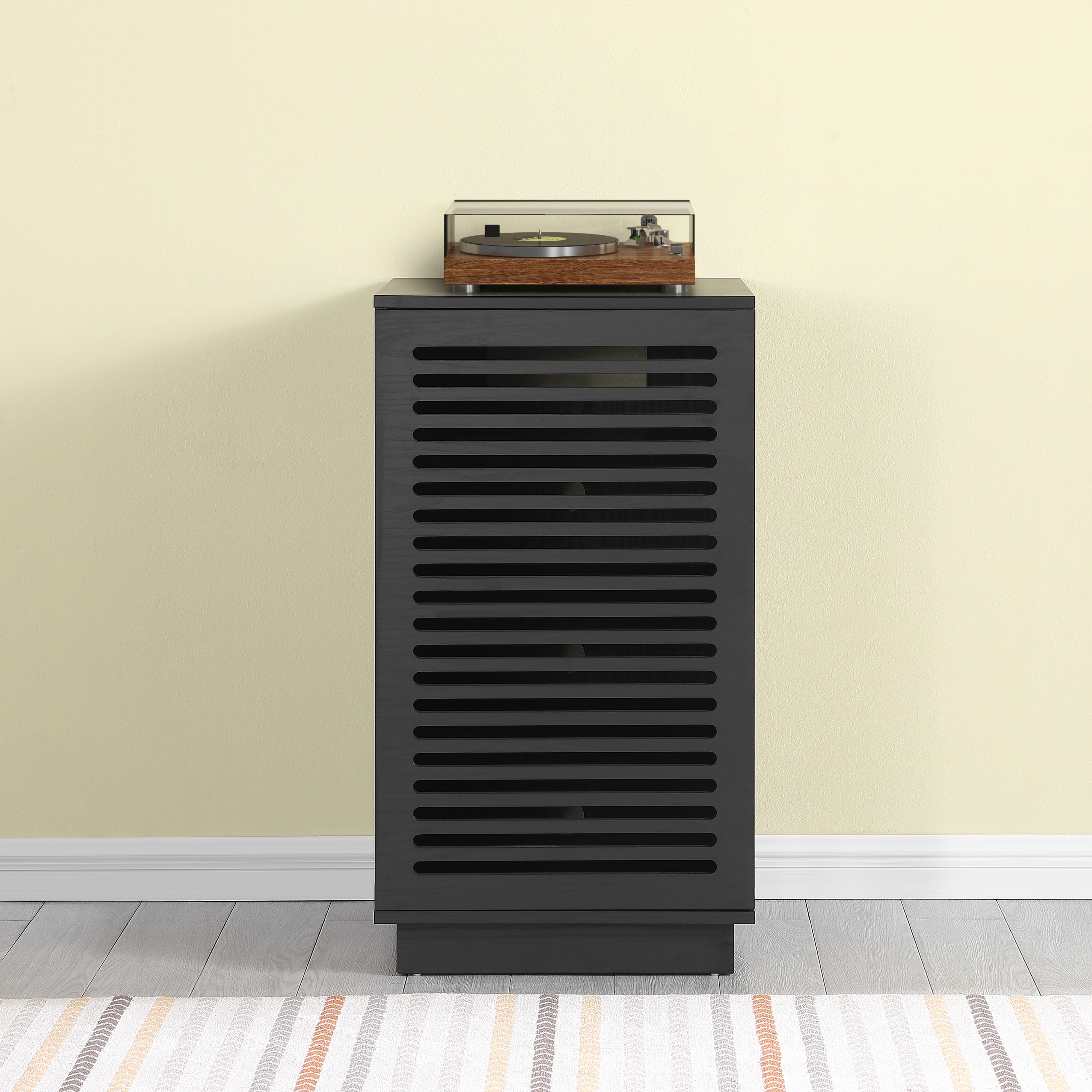 BURBANK HiFi Unit