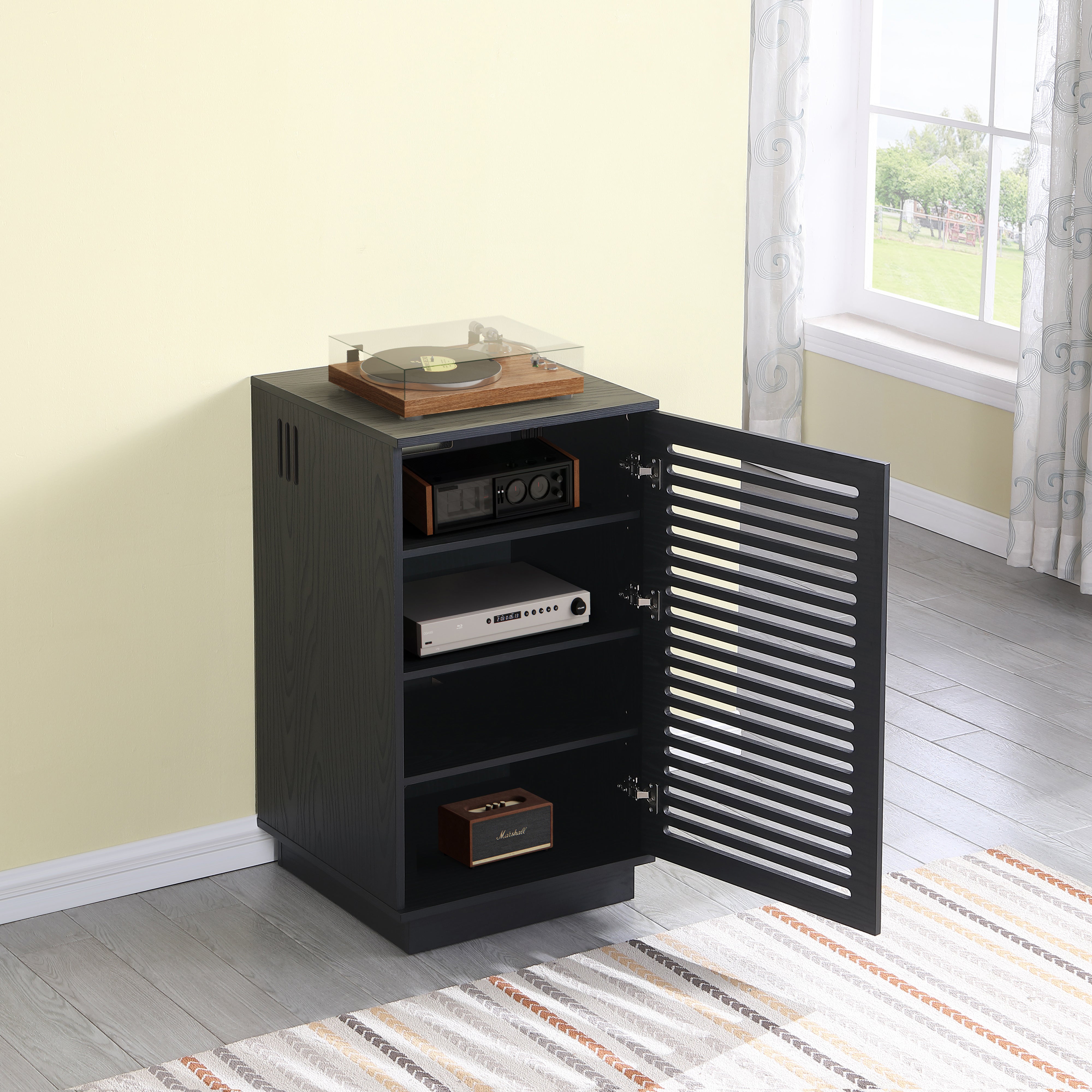 BURBANK HiFi Unit
