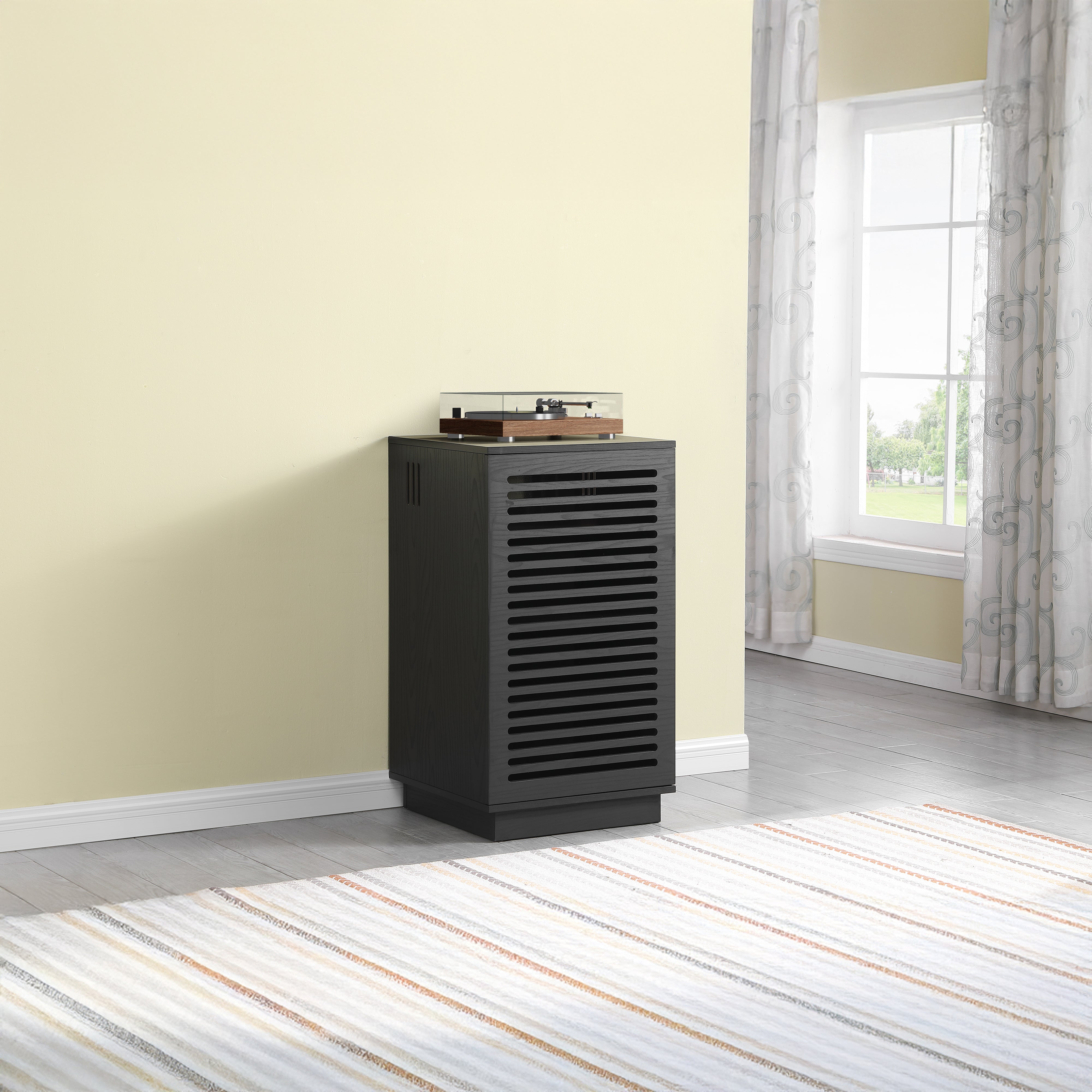 BURBANK HiFi Unit