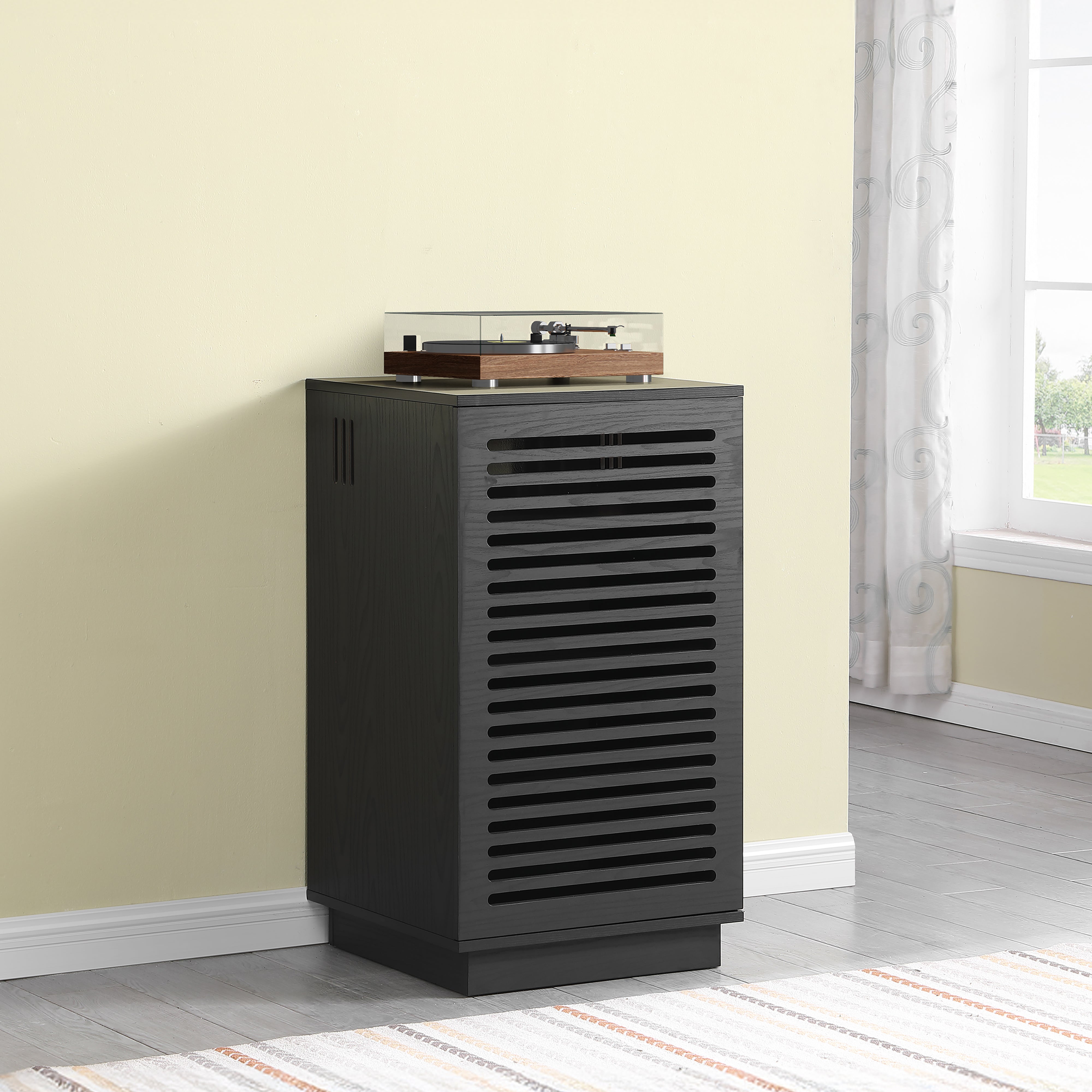 BURBANK HiFi Unit