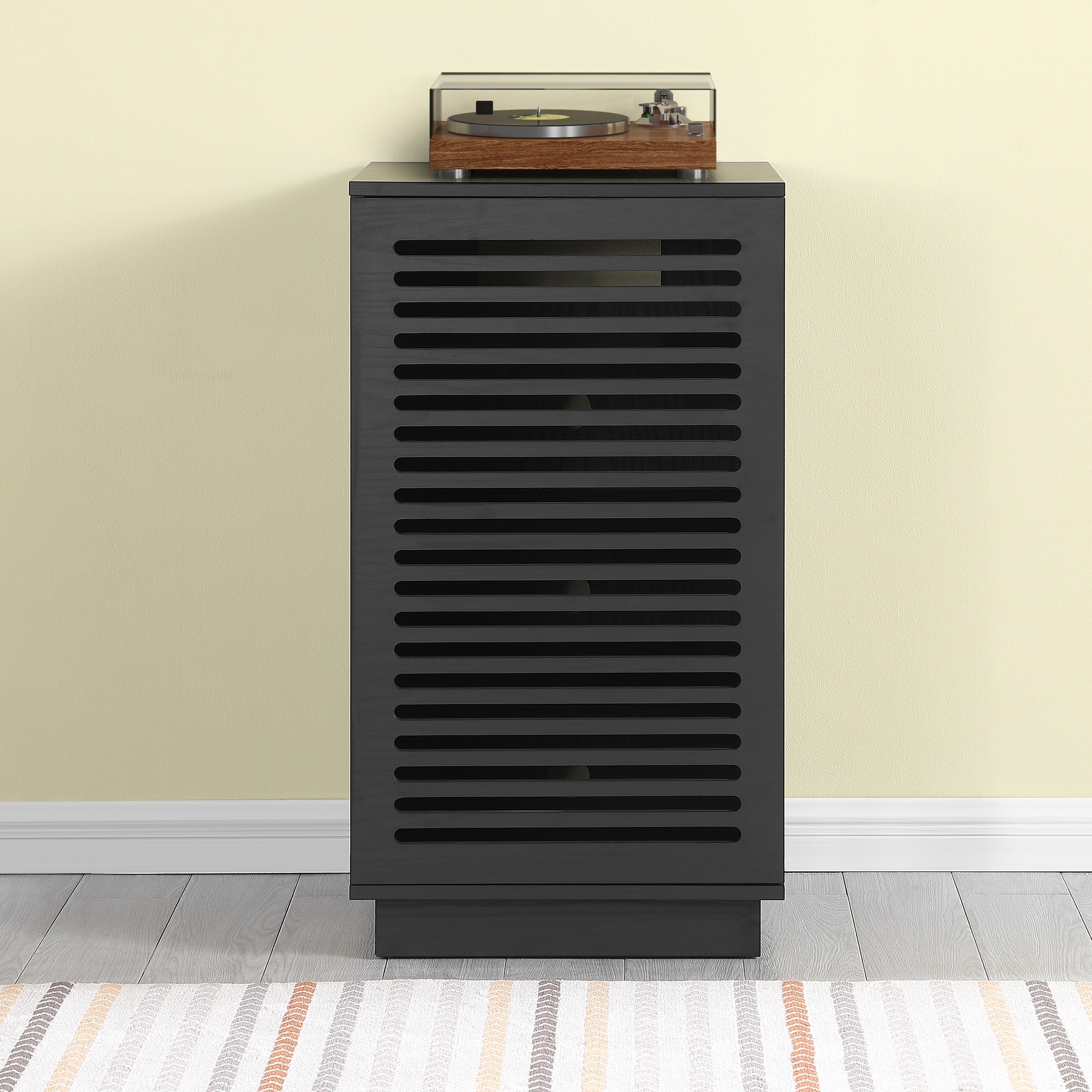 BURBANK HiFi Unit