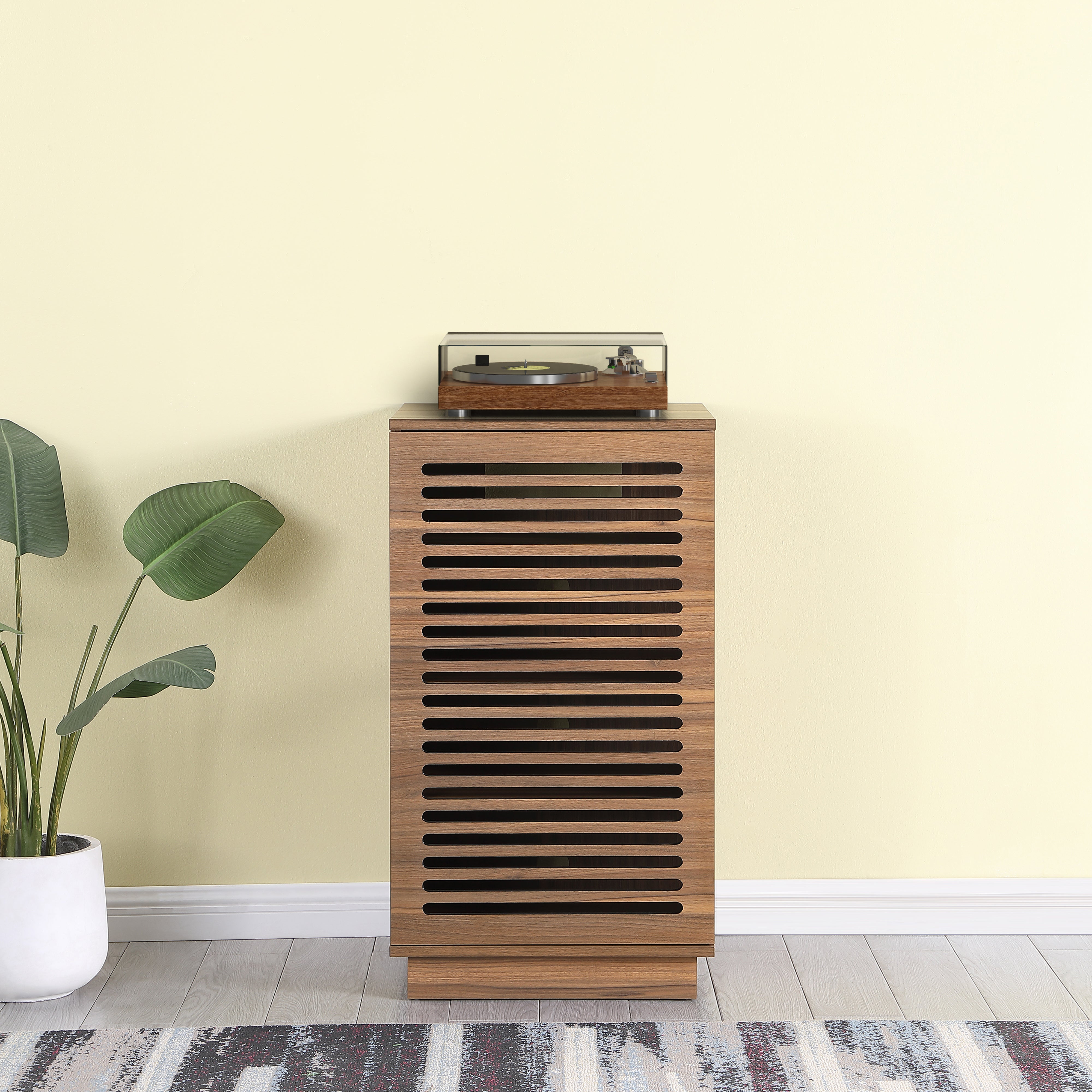 BURBANK HiFi Unit