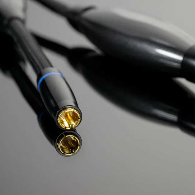 Transparent XL RCA Cable