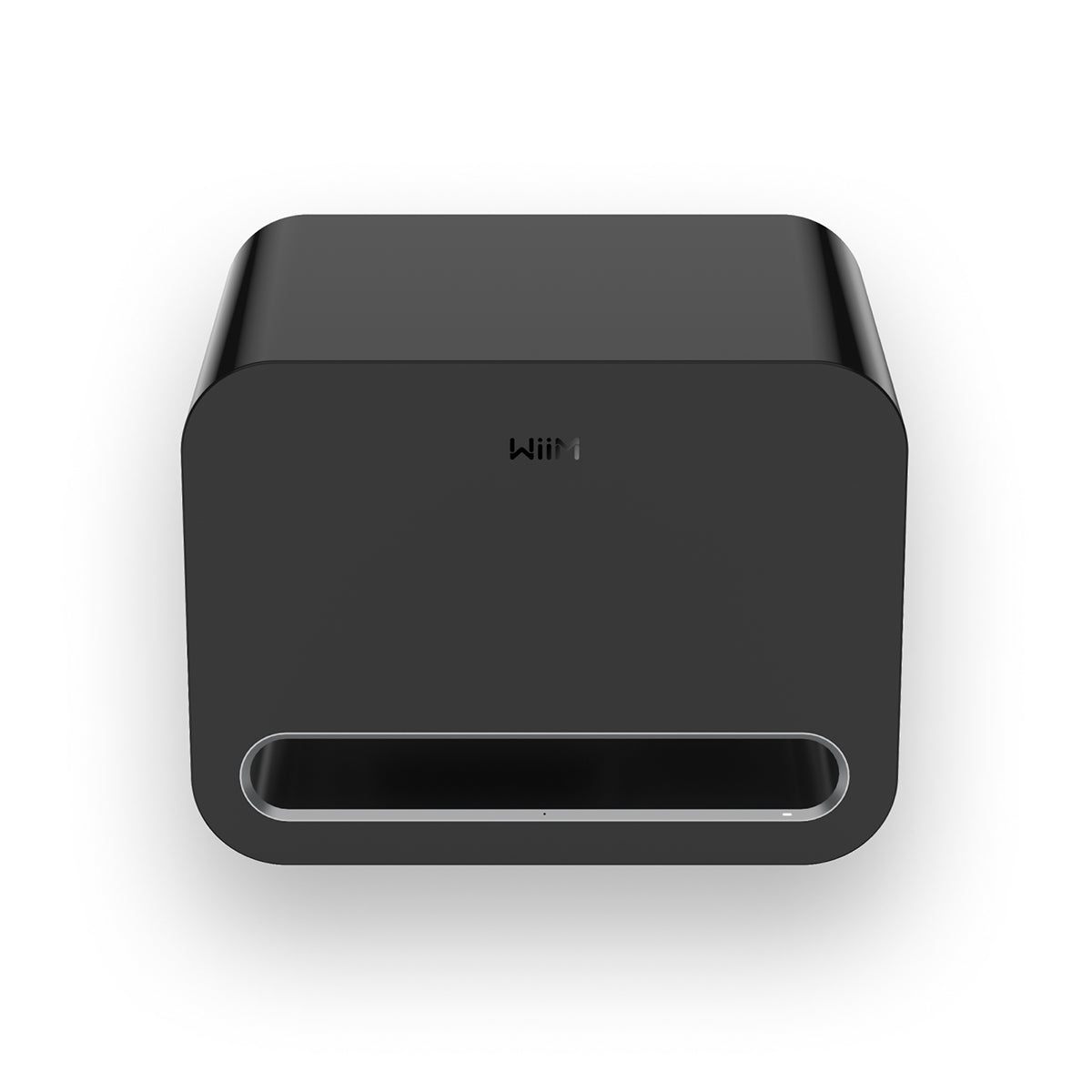 Wiim Sub Pro Wireless Subwoofer