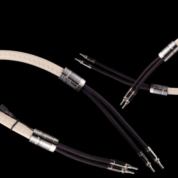 Atlas Asimi Luxe 4-4 Speaker Cable 2 x 1.0 mt at The Audio Experts