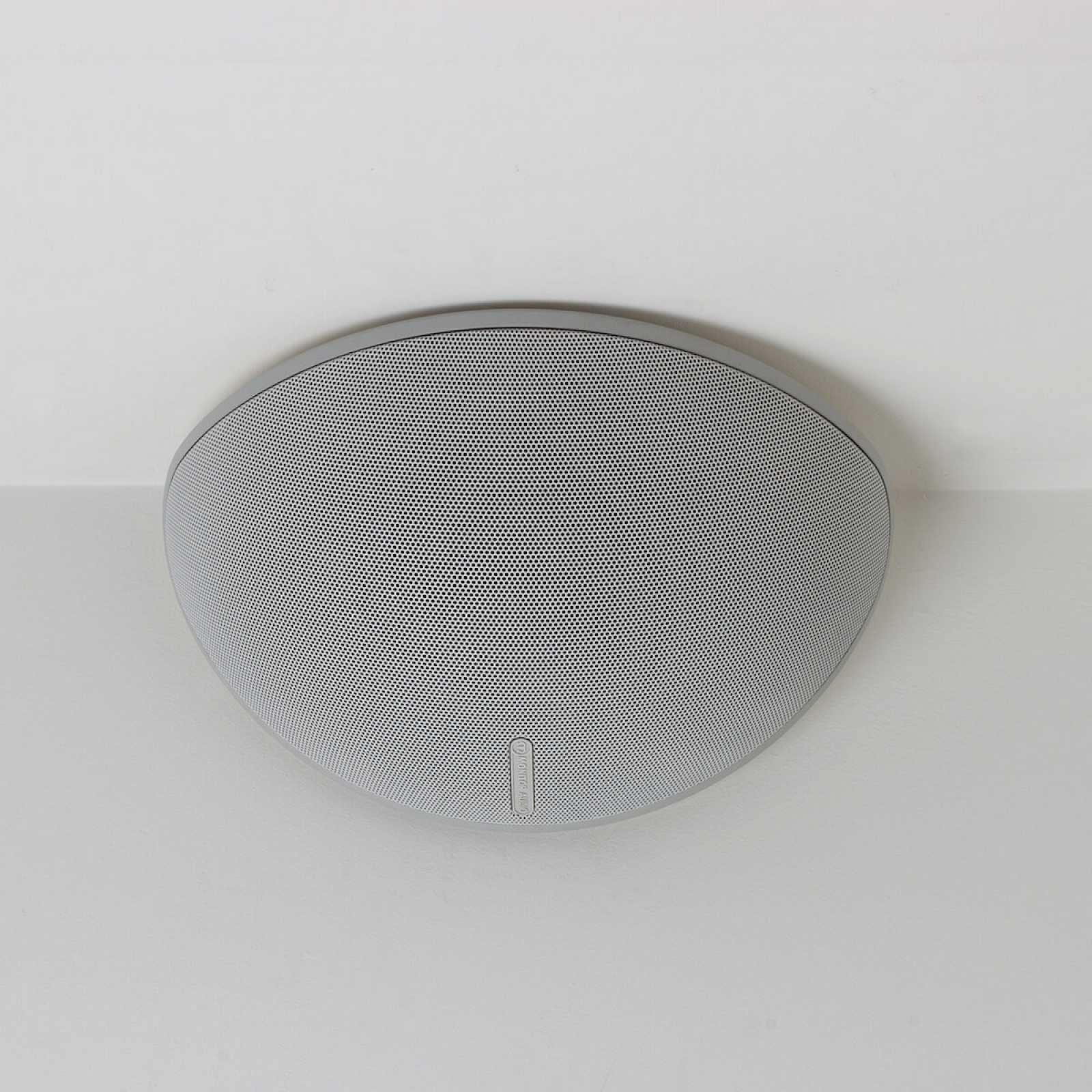 Monitor Audio Vecta V240 Indoor/Outdoor Speaker