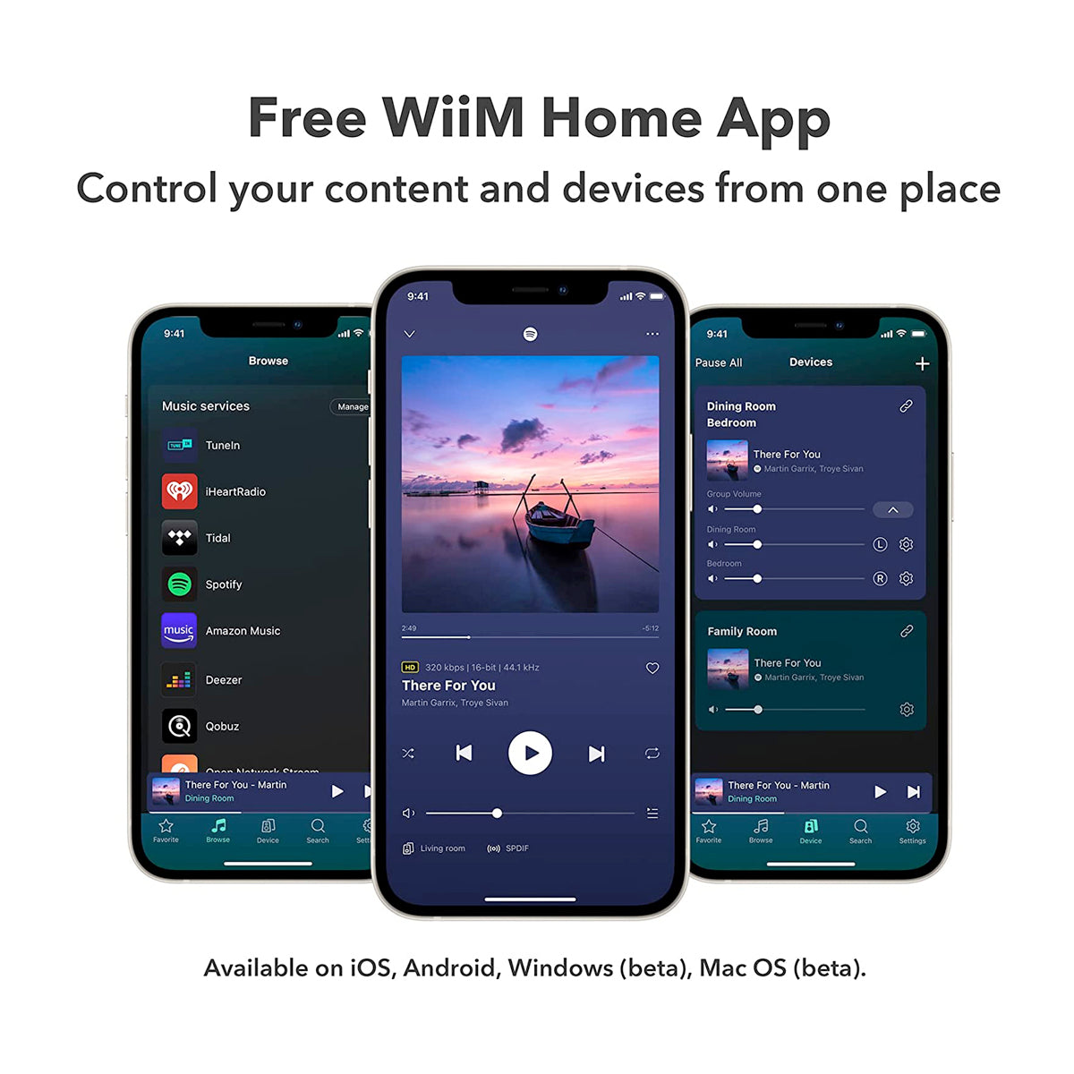 WiiM Mini Airplay 2 Wireless Audio Streamer | The Audio Experts