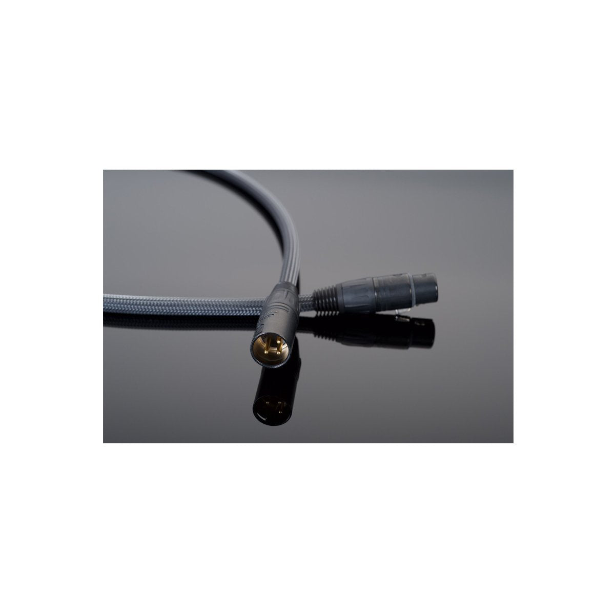 Transparent PREMIUM 110Ω Balanced Digital Cable 0.5M XLR/piece - The Audio Experts